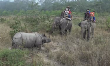 Chitwan Jungle Safari